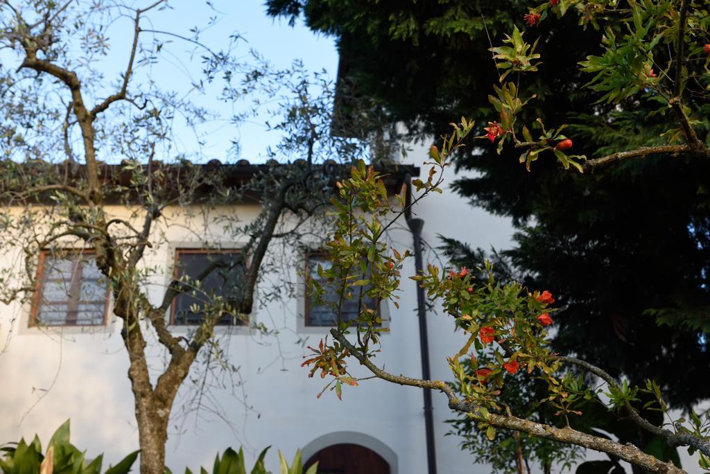 Agriturismo La Casuccia Castelfranco di Sopra Dış mekan fotoğraf